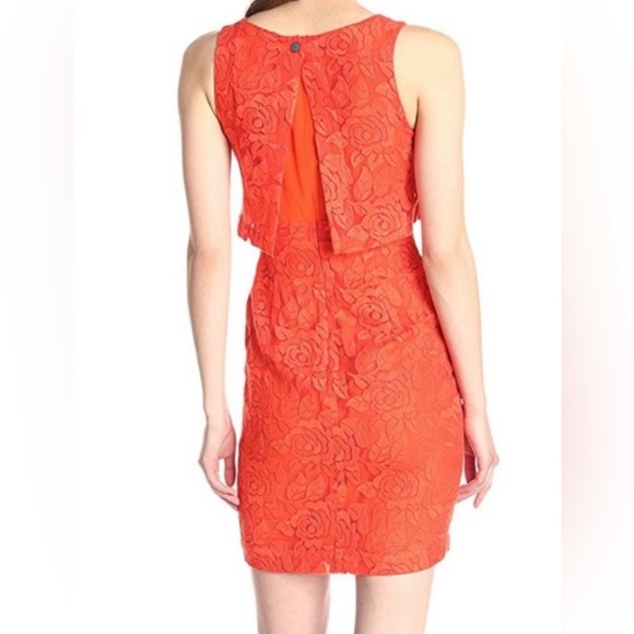 New NICOLE MILLER Artelier Vibrant Lace Orange Dress Shift Sheath Layered Floral - Picture 6 of 11